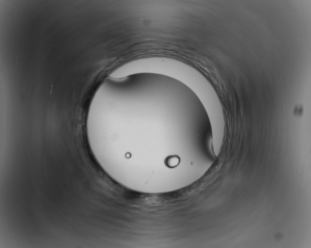 X0000102510423200809051415