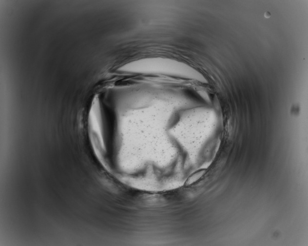 X0000102510424200809051415