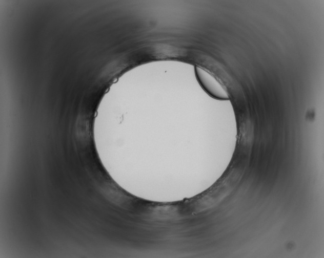 X0000102510426200809051415