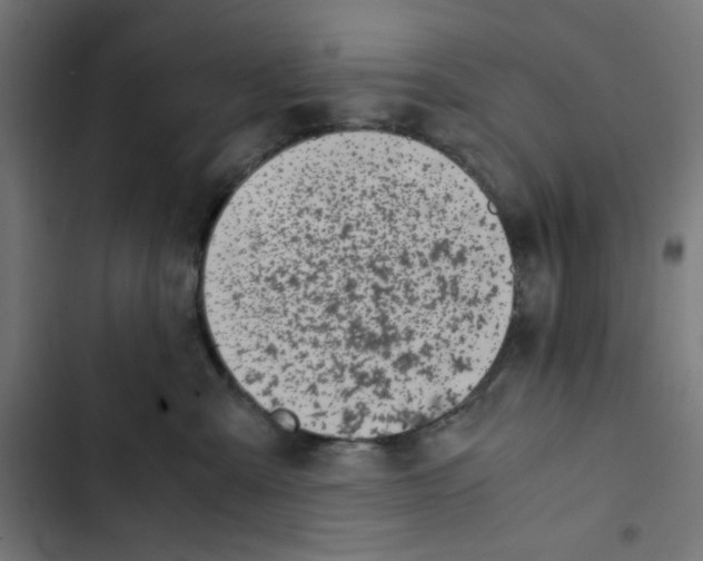 X0000102510427200809051415