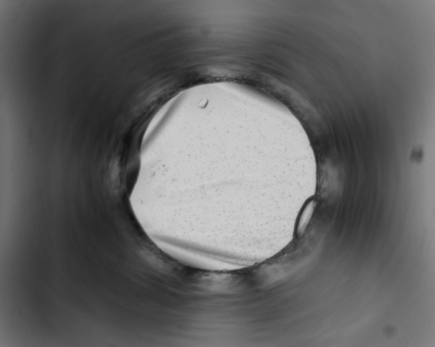 X0000102510428200809051415