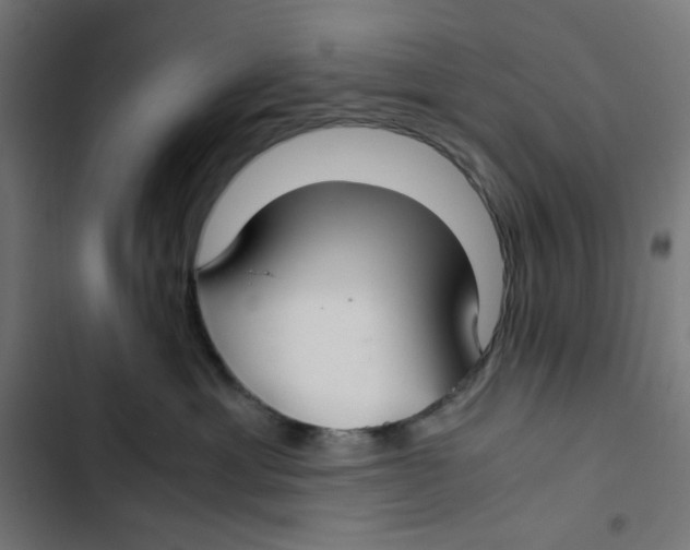 X0000102510429200809051415