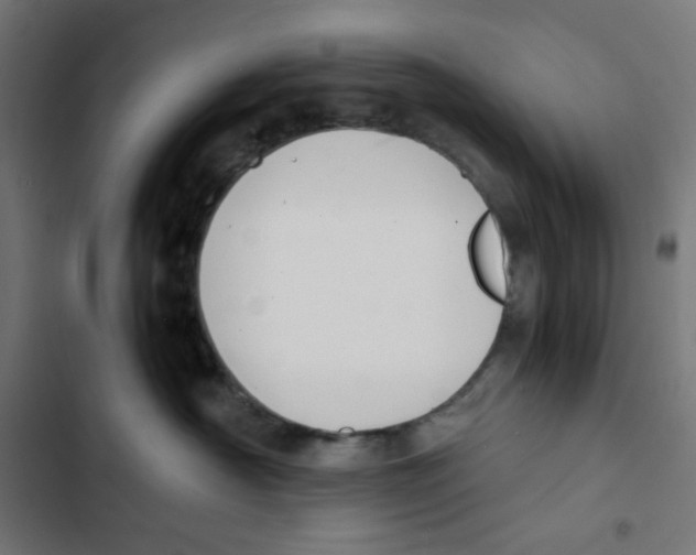 X0000102510430200809051415