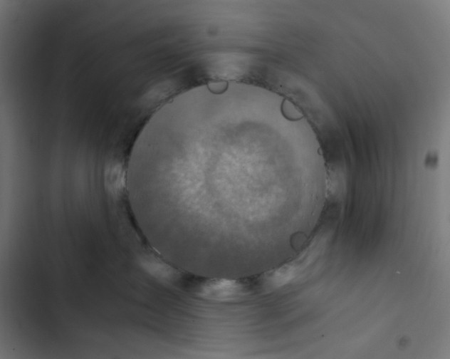 X0000102510431200809051415