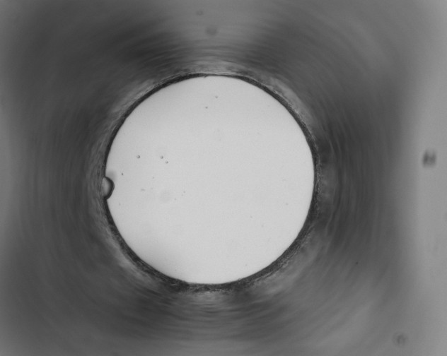 X0000102510433200809051414