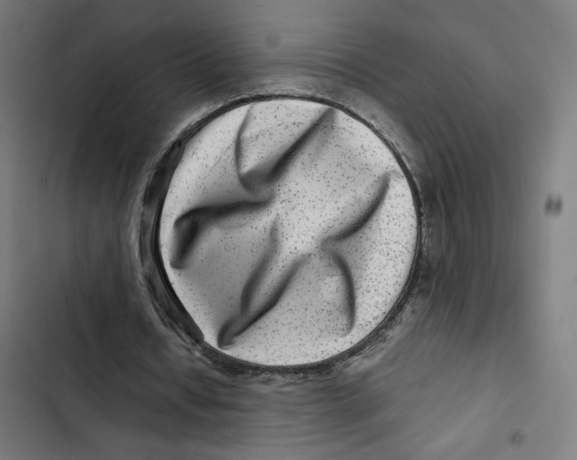 X0000102510434200809051414
