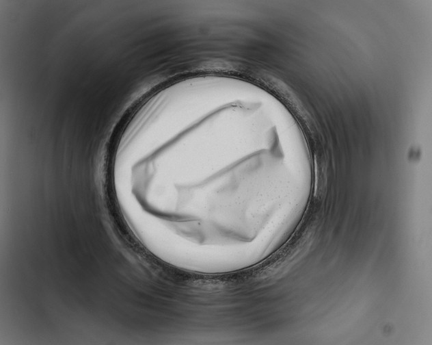X0000102510435200809051414