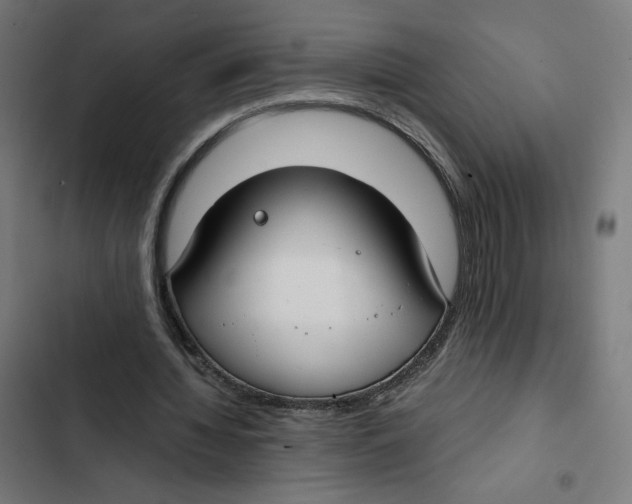 X0000102510436200809051414