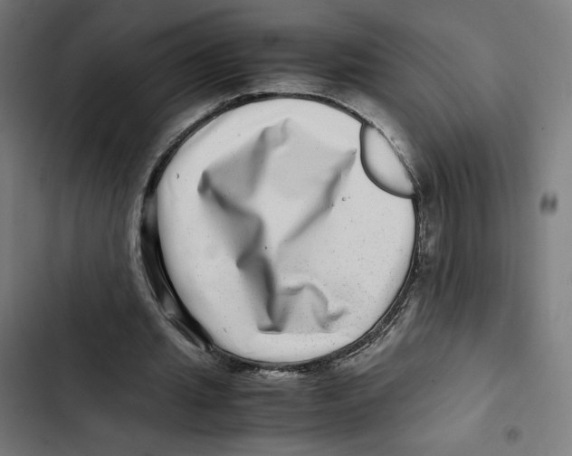 X0000102510437200809051414