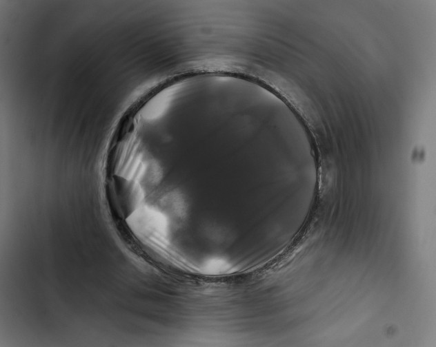 X0000102510438200809051414