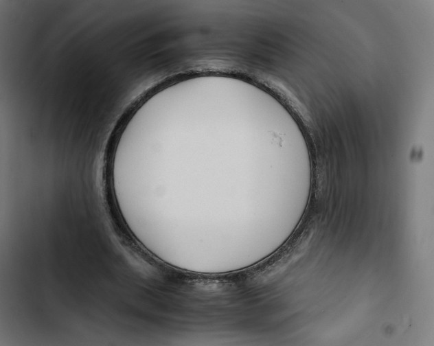 X0000102510439200809051414