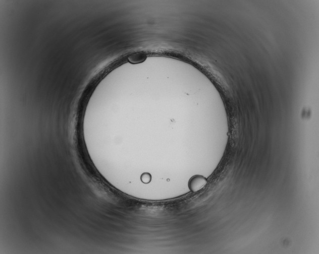 X0000102510440200809051414