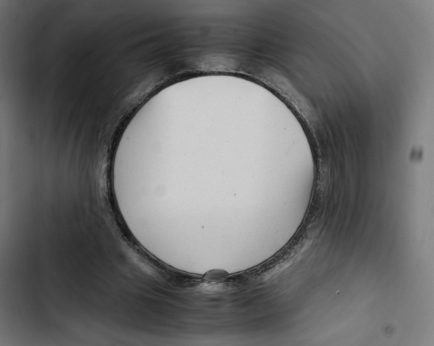 X0000102510441200809051414