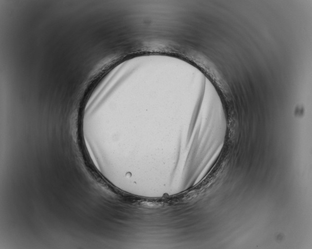 X0000102510442200809051414