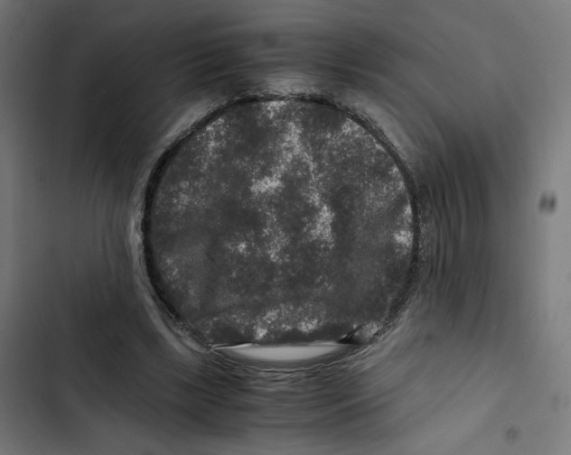 X0000102510443200809051414