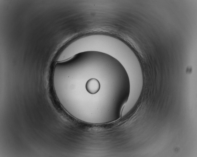 X0000102510444200809051414