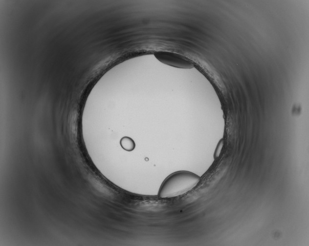 X0000102510445200809051414