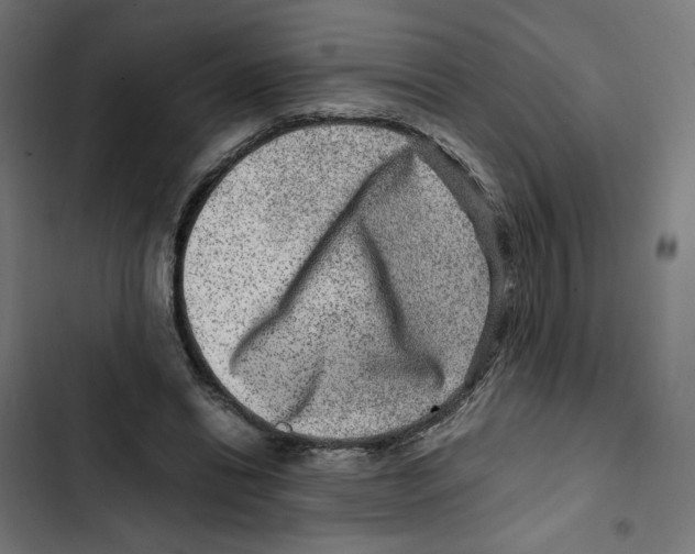 X0000102510446200809051414