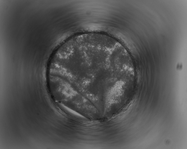 X0000102510447200809051414