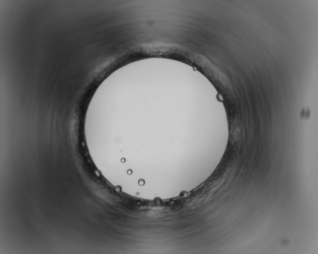 X0000102510448200809051414
