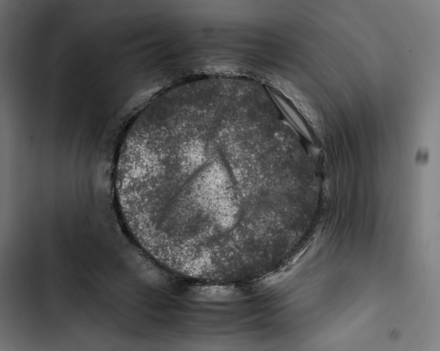 X0000102510449200809051414