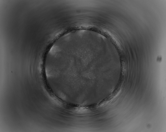 X0000102510451200809051414