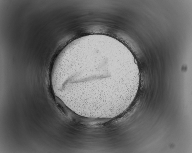 X0000102510453200809051414