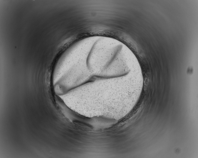 X0000102510454200809051414