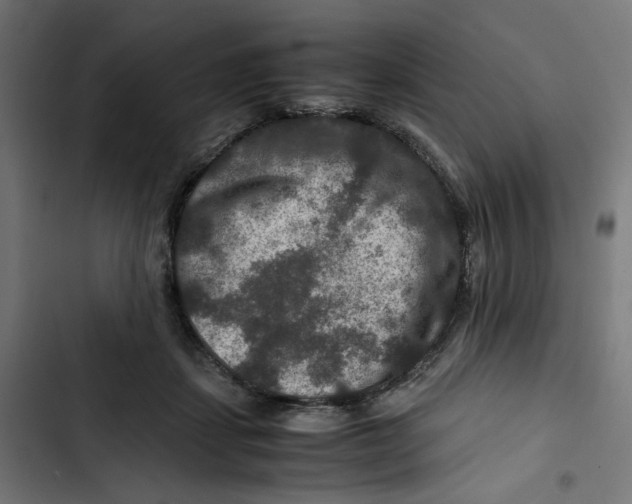 X0000102510459200809051414
