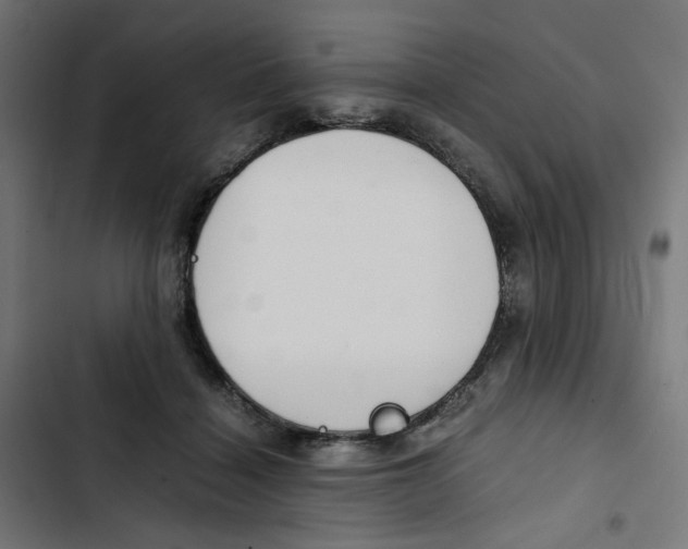 X0000102510460200809051414