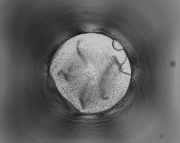X0000102510461200809051414