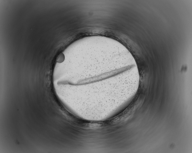X0000102510462200809051414