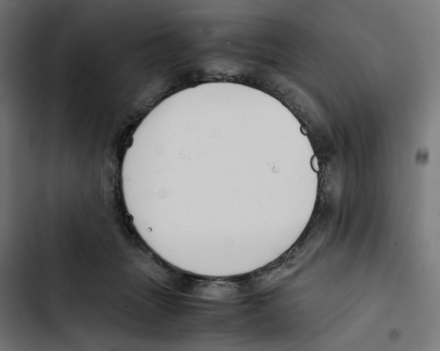 X0000102510463200809051414