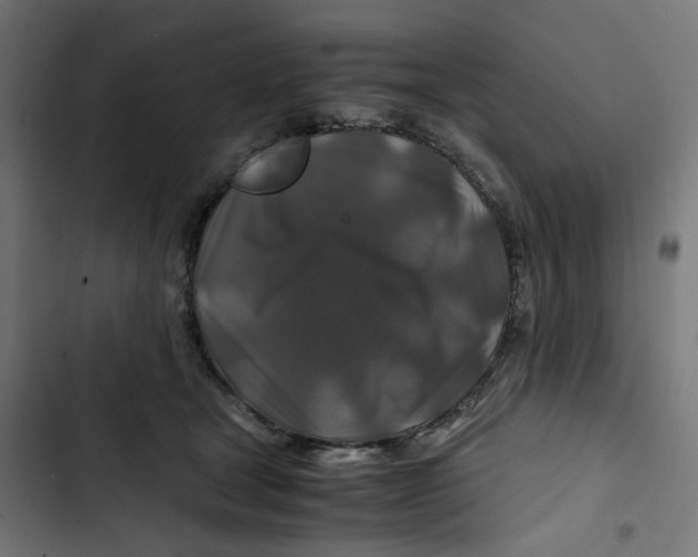 X0000102510465200809051414