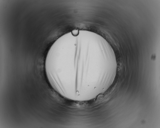 X0000102510466200809051414