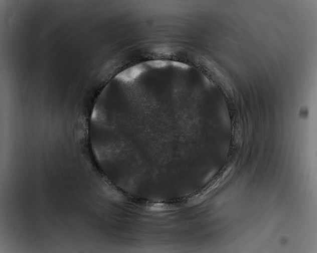 X0000102510467200809051414