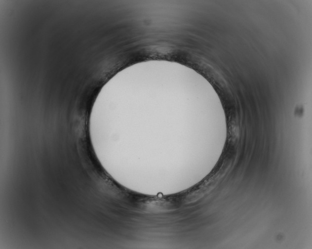 X0000102510468200809051414