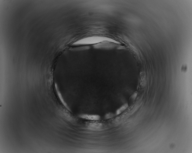X0000102510471200809051414