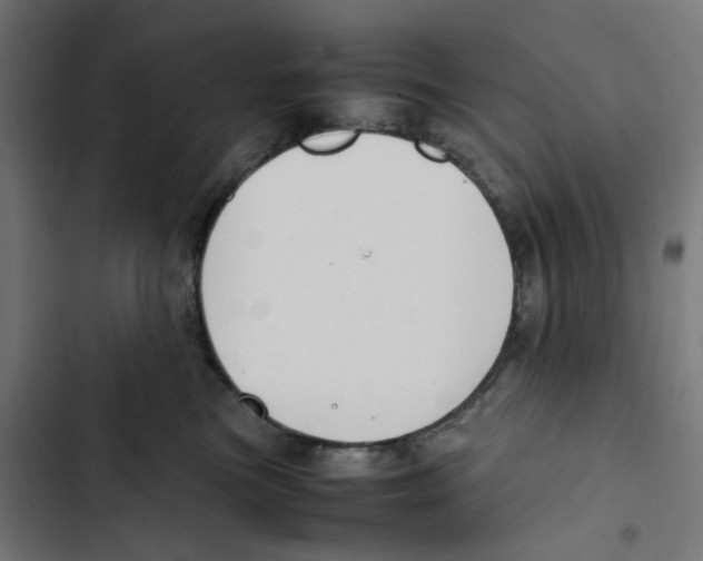 X0000102510473200809051414