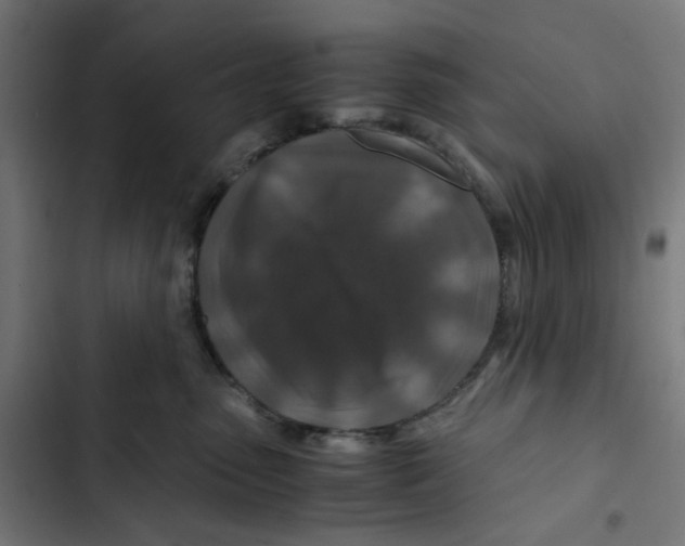 X0000102510475200809051414