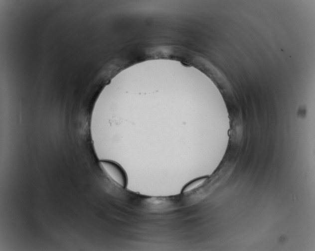 X0000102510477200809051414