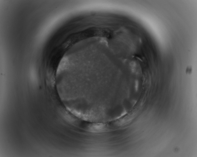 X0000102510479200809051414
