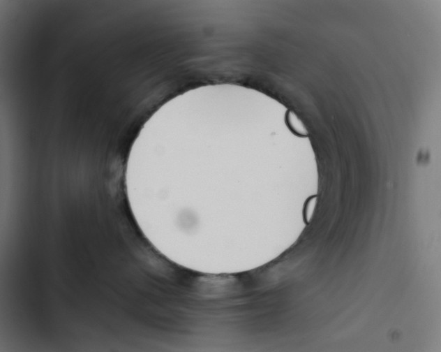 X0000102510480200809051415