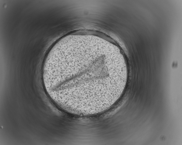 X0000102510481200809051414