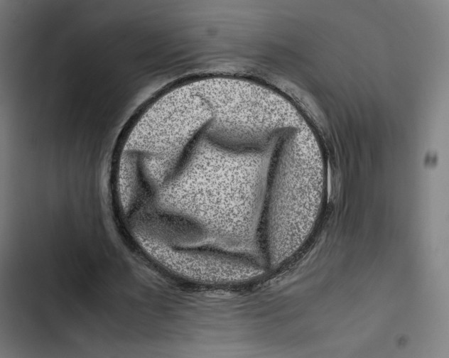 X0000102510483200809051414