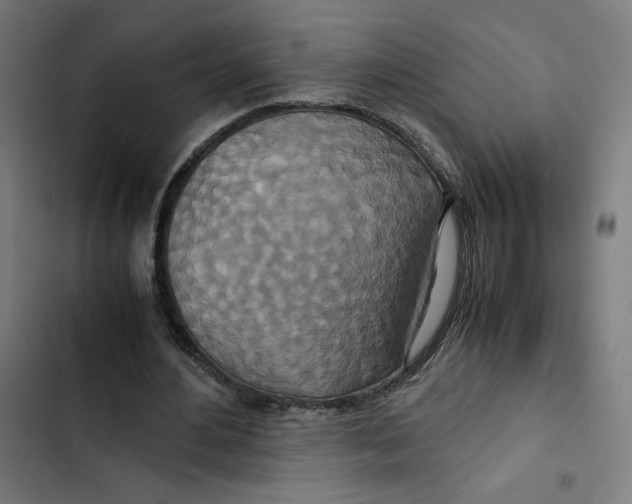 X0000102510484200809051414
