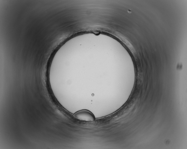 X0000102510485200809051414