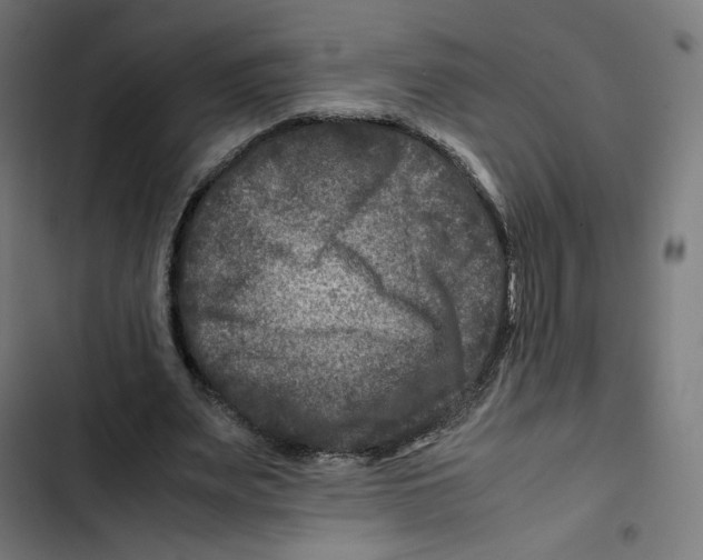 X0000102510487200809051414