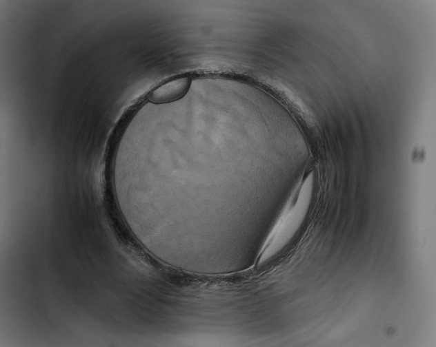 X0000102510488200809051414