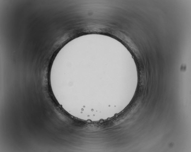 X0000102510489200809051414